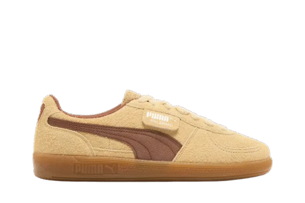 Pumaa Palermmoo Chamomileee Brownn Mushroom