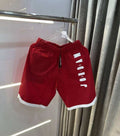 Air  Jordan Red Embroidery Work Premium Shorts