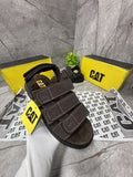 CAT BROWN