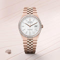 Rolex Oyster Perpetual Land Dweller