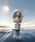 Rolex Oyster Perpetual Silver Gold Grey 2026