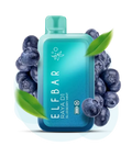 ELFBAR RAYA D1 13000 PUFF BLUEBERRY MINT